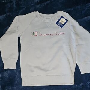 Champion Pastel Blue Crewneck Sweatshirt